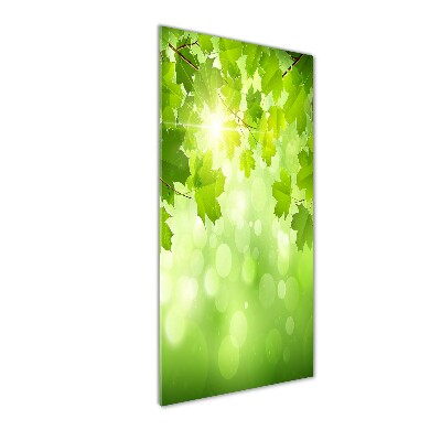 Staand foto plexiglas Groene bladeren
