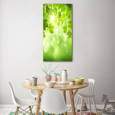 Staand foto plexiglas Groene bladeren