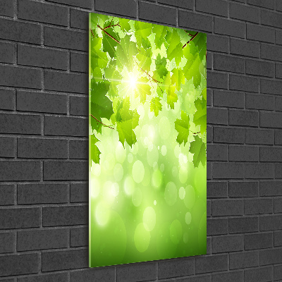 Staand foto plexiglas Groene bladeren