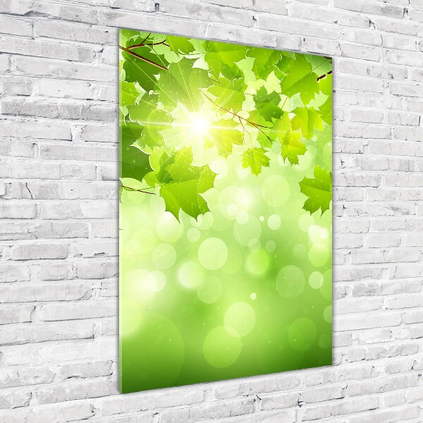 Staand foto plexiglas Groene bladeren