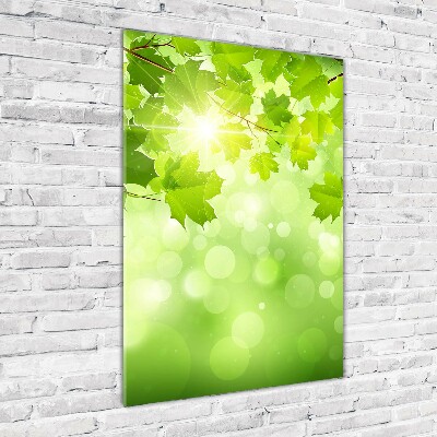 Staand foto plexiglas Groene bladeren