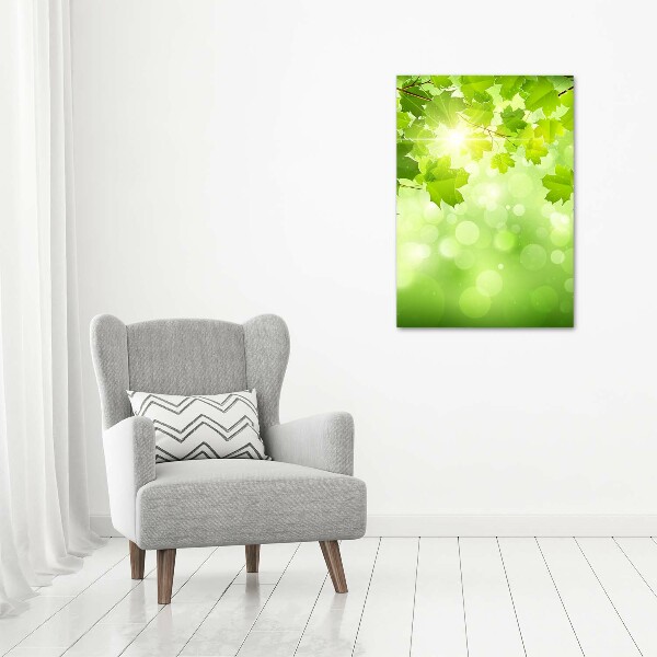 Staand foto plexiglas Groene bladeren