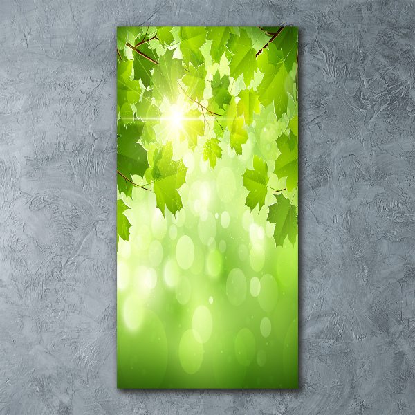 Staand foto plexiglas Groene bladeren