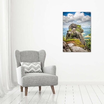 Staand foto in plexiglas Szczeliniec Wielki