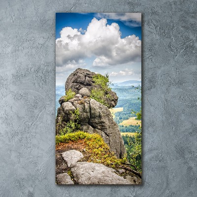 Staand foto in plexiglas Szczeliniec Wielki