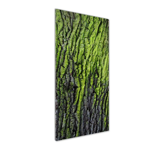 Staand plexiglas foto Boomschors