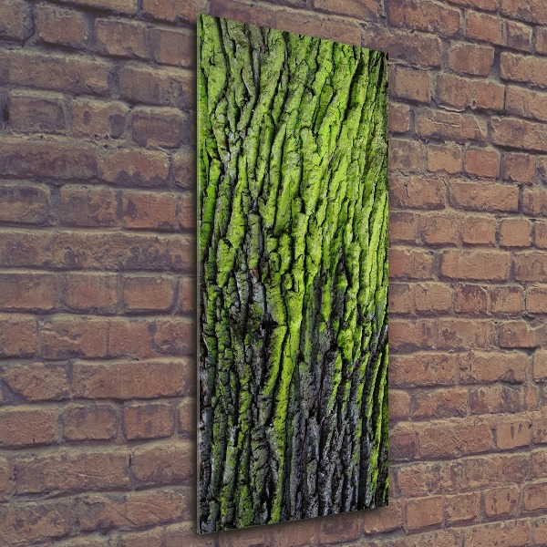 Staand plexiglas foto Boomschors