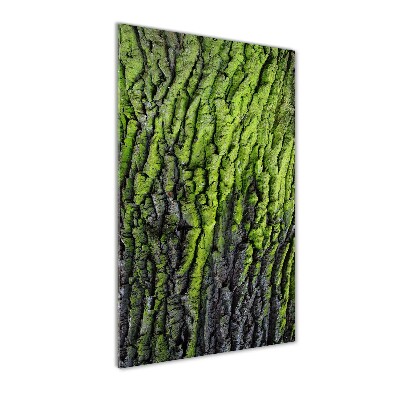 Staand plexiglas foto Boomschors