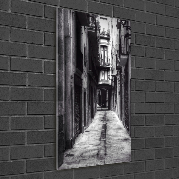 Staand foto in plexiglas Barcelona, ​​Spanje