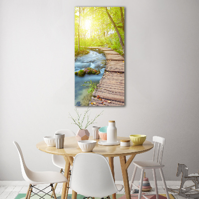 Staand plexiglas foto Pad in het bos