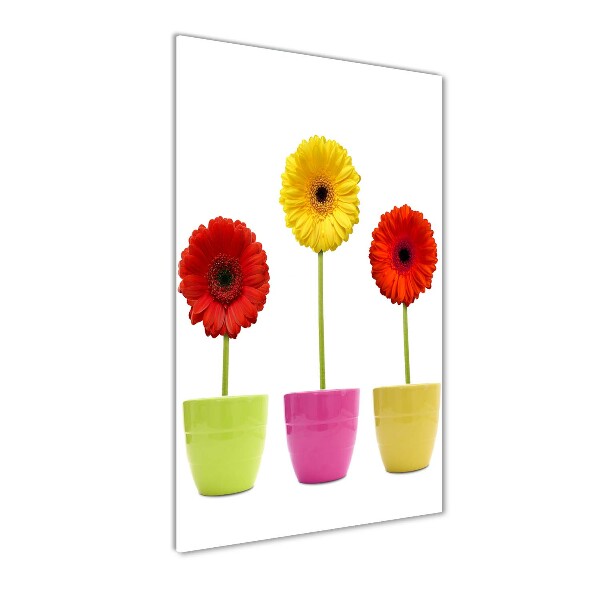 Staand foto in plexiglas Kleurrijke gerbera's