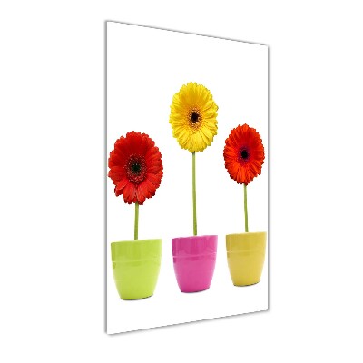 Staand foto in plexiglas Kleurrijke gerbera's