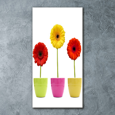 Staand foto in plexiglas Kleurrijke gerbera's