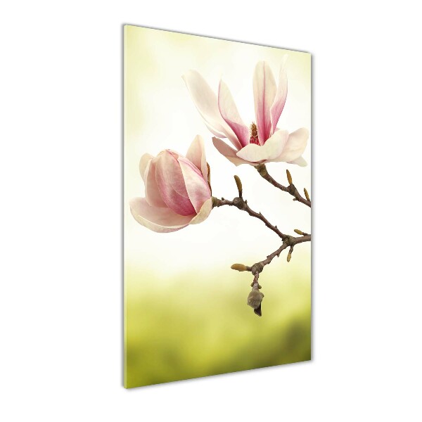 Staand foto op plexiglas Magnolia bloemen