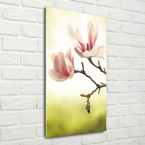 Staand foto op plexiglas Magnolia bloemen