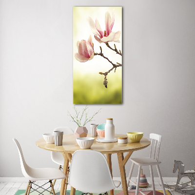 Staand foto op plexiglas Magnolia bloemen