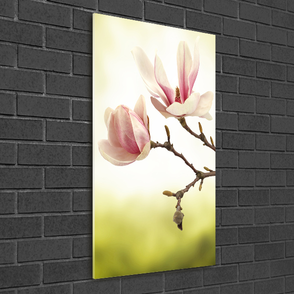 Staand foto op plexiglas Magnolia bloemen