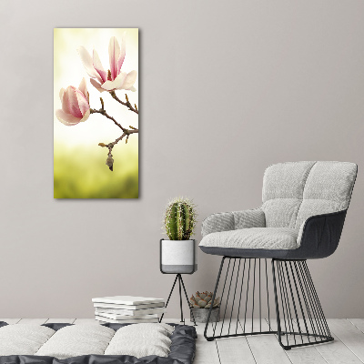 Staand foto op plexiglas Magnolia bloemen