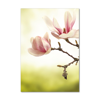 Staand foto op plexiglas Magnolia bloemen