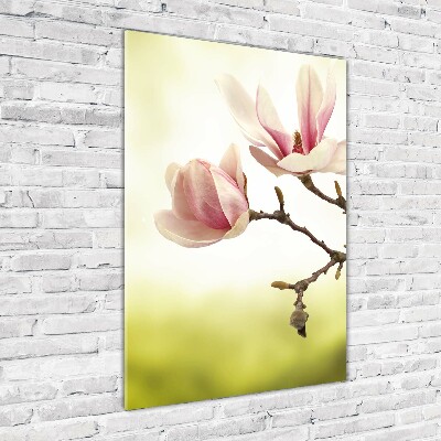 Staand foto op plexiglas Magnolia bloemen