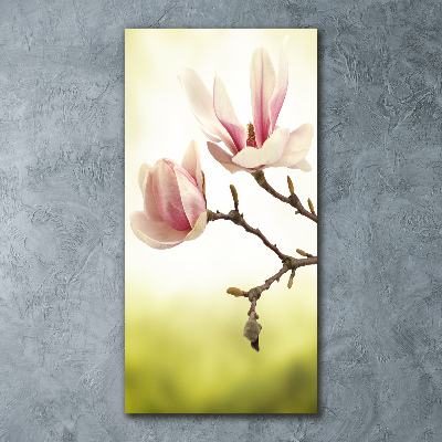 Staand foto op plexiglas Magnolia bloemen