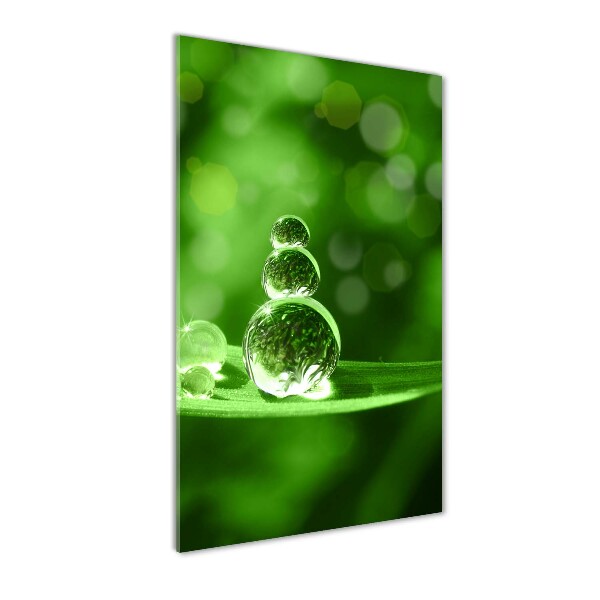 Staand plexiglas foto Druppels op het gras