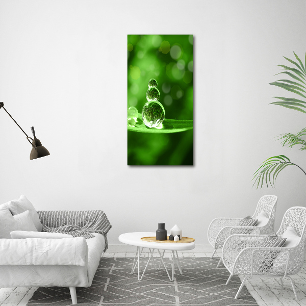 Staand plexiglas foto Druppels op het gras