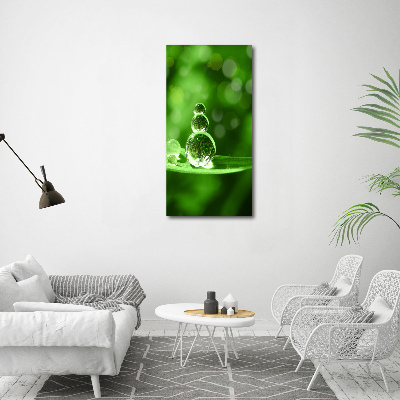 Staand plexiglas foto Druppels op het gras