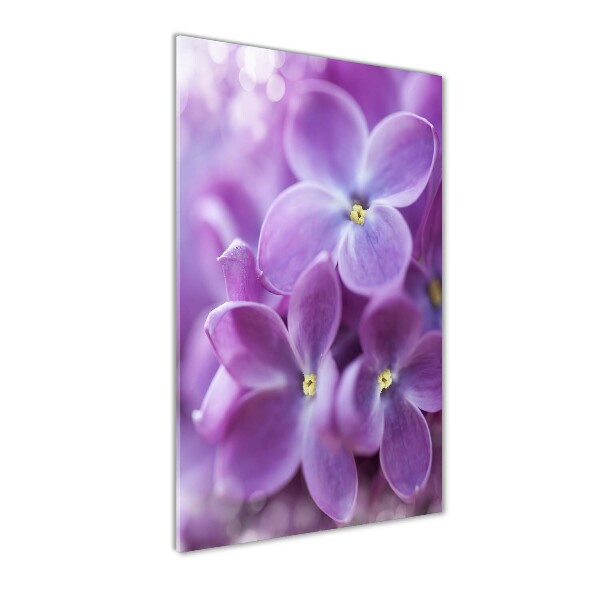 Staand foto plexiglas Seringbloemen