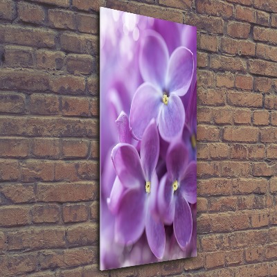 Staand foto plexiglas Seringbloemen