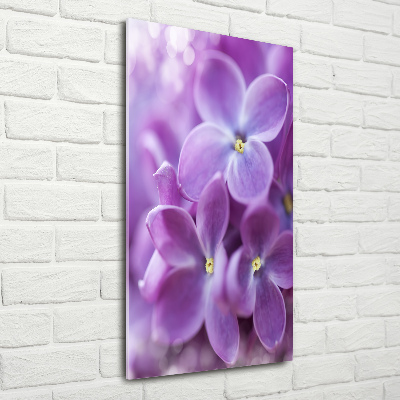 Staand foto plexiglas Seringbloemen