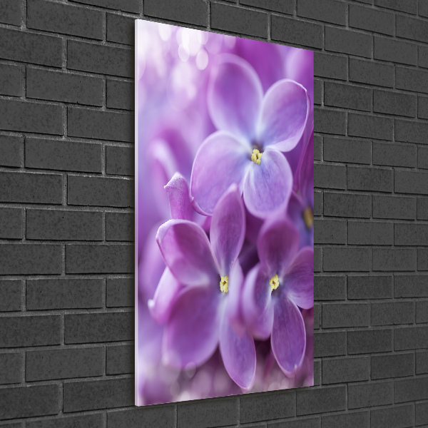 Staand foto plexiglas Seringbloemen