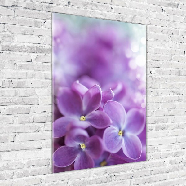 Staand foto plexiglas Seringbloemen
