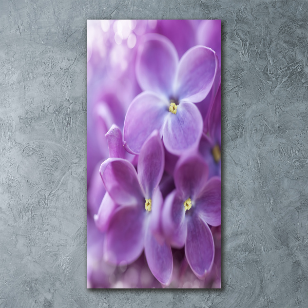 Staand foto plexiglas Seringbloemen