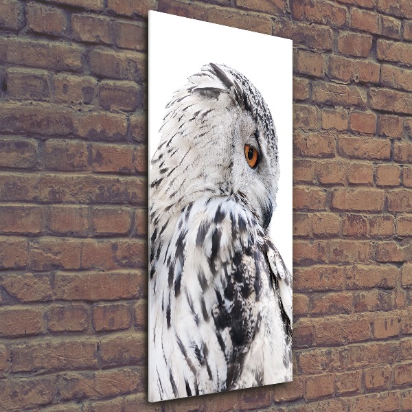 Staand plexiglas foto Witte uil