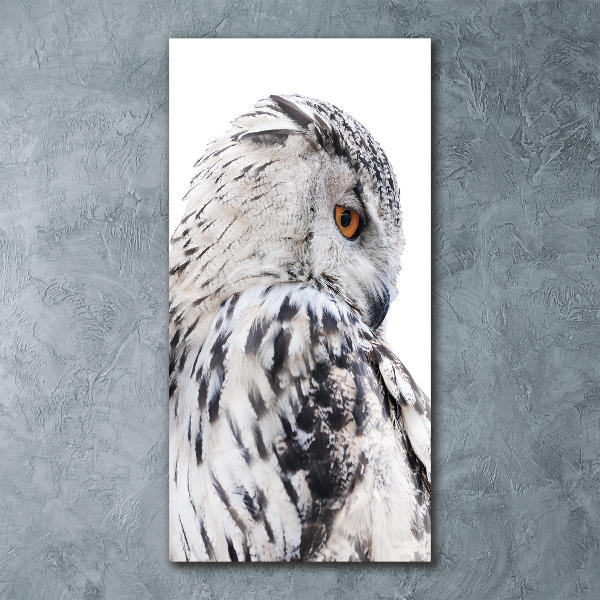Staand plexiglas foto Witte uil