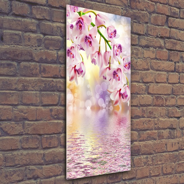 Staand foto op plexiglas Orchidee