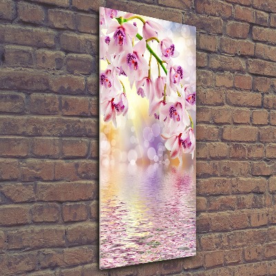 Staand foto op plexiglas Orchidee