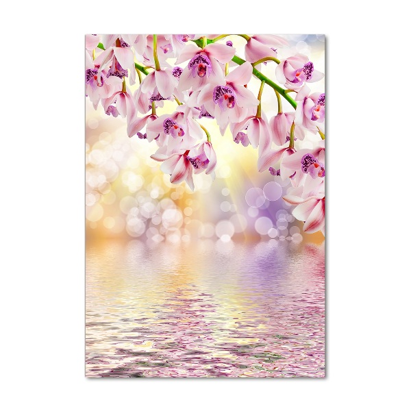 Staand foto op plexiglas Orchidee