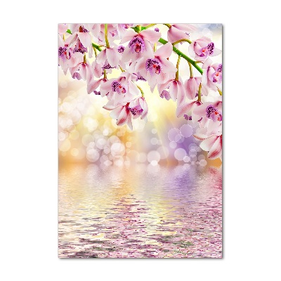 Staand foto op plexiglas Orchidee