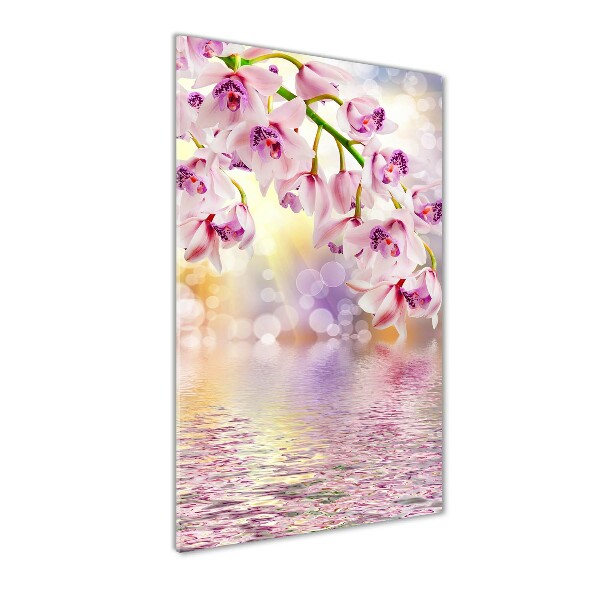 Staand foto op plexiglas Orchidee