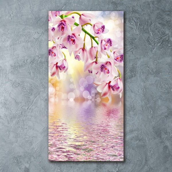 Staand foto op plexiglas Orchidee