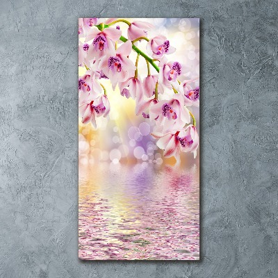 Staand foto op plexiglas Orchidee
