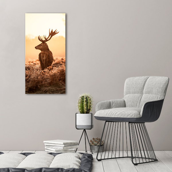 Staand foto in plexiglas Herten zonsopgang