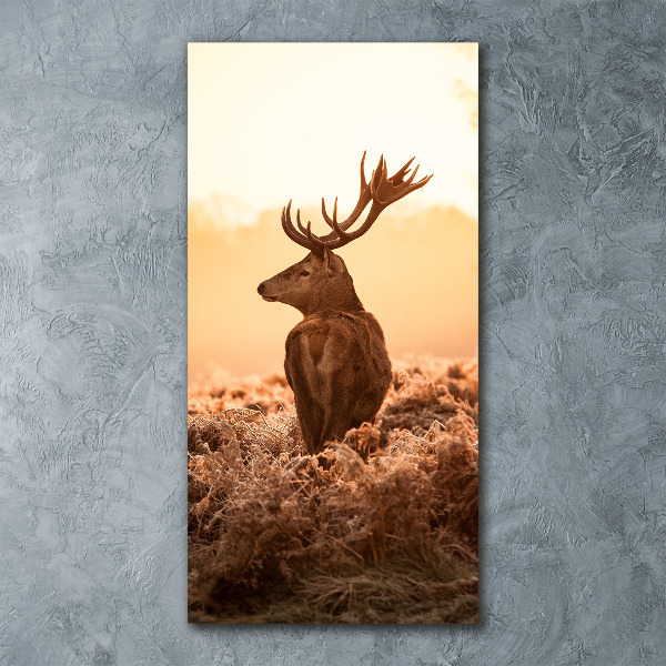 Staand foto in plexiglas Herten zonsopgang