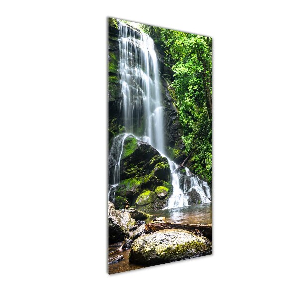 Staand foto plexiglas Waterval in de jungle