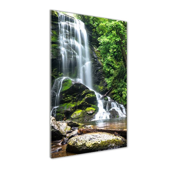 Staand foto plexiglas Waterval in de jungle