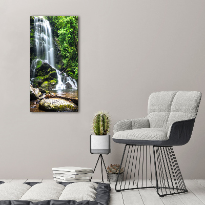 Staand foto plexiglas Waterval in de jungle