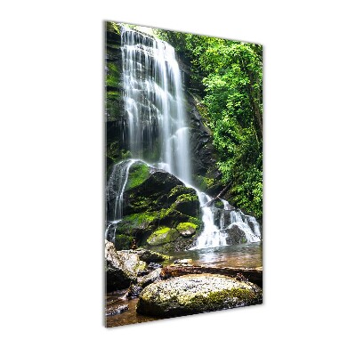 Staand foto plexiglas Waterval in de jungle