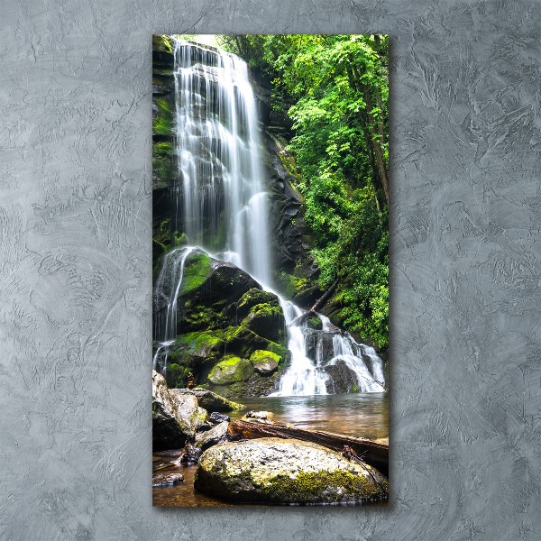 Staand foto plexiglas Waterval in de jungle